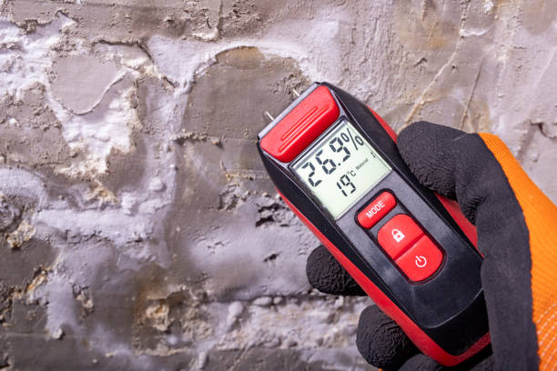 Certified Mold Removal in Central Gardens, TX
