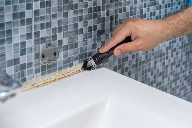 Best Mold Testing  in Central Gardens, TX